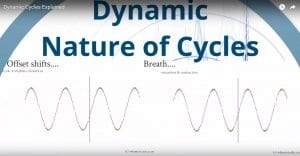 Dynamic Cycles