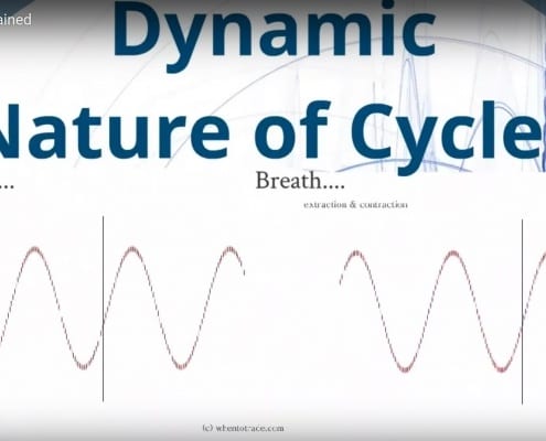 Dynamic Cycles